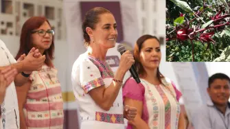 Presidenta Claudia Sheinbaum de gira por  Atoyac de Álvarez, Guerrero.