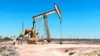 Descripción automática