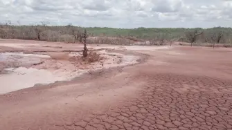 Un pozo petrolero abandonado vierte fluidos y gases tóxicos desde hace dos años, contaminando 20 hectáreas a la redonda y matando centenares de vacas, sin que las autoridades reaccionen ni los empresarios reaccionen.

¡Síguenos en nuestras redes sociales para mantenerte informado!

Twitter: https://twitter.com/eleconomista 
Facebook: https://www.facebook.com/ElEconomista.mx
Instagram: https://www.instagram.com/eleconomistamx
LinkedIn: https://www.linkedin.com/company/el-economista/

#ElEconomista #EETV