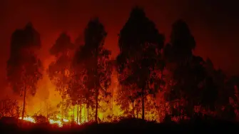 Las autoridades chilenas detuvieron el miércoles a una persona acusada de iniciar un siniestro en la misma zona donde bomberos combaten gigantescos incendios forestales que se han cobrado la vida de 20 personas.

¡Síguenos en nuestras redes sociales para mantenerte informado!

Twitter: https://twitter.com/eleconomista 
Facebook: https://www.facebook.com/ElEconomista.mx
Instagram: https://www.instagram.com/eleconomistamx
LinkedIn: https://www.linkedin.com/company/el-economista/

#ElEconomista #Chile #Incendio
