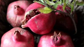 top view ripe pomegranates with a branch from a tree