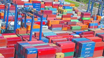 Descripción automática