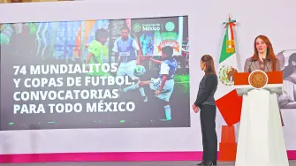 Descripción automática