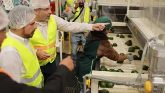 Foto: Gobierno de Michoacán