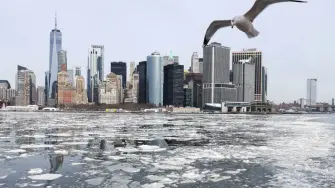 El frío glacial obligó a la NASA a posponer una importante prueba de abastecimiento de combustible del cohete colocado en la plataforma de lanzamiento de Cabo Cañaveral.

Para más información del tema, visita: https://www.eleconomista.com.mx/internacionales/frente-frio-llega-estados-sureste-provocar-100-muertos-eu-20260131-797836.html 

¡Síguenos en nuestras redes sociales para mantenerte informado!

Twitter: https://twitter.com/eleconomista 
Facebook: https://www.facebook.com/ElEconomista.mx
Instagram: https://www.instagram.com/eleconomistamx
LinkedIn: https://www.linkedin.com/company/el-economista/

#ElEconomista #TormentaInvernal #EstadosUnidos