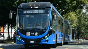 La ATM demanda un incremento del 16.5% directo al salario para dignificar el trabajo de sus agremiados. Además, exigen que el aumento se aplique a las pensiones de jubilados y tenga una vigencia retroactiva al 21 de enero de 2026.

Para más información del tema, visita: https://www.eleconomista.com.mx/empresas/alianza-tranviarios-mantiene-amago-huelga-uam-logra-acuerdo-conjura-paro-20260201-797899.html

¡Síguenos en nuestras redes sociales para mantenerte informado!

Twitter: https://twitter.com/eleconomista 
Facebook: https://www.facebook.com/ElEconomista.mx
Instagram: https://www.instagram.com/eleconomistamx
LinkedIn: https://www.linkedin.com/company/el-economista/
T

#ElEconomista #EETV