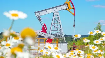 Descripción automática