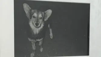 Obra ganadora del Premio de Arte AXA México fue “No apretar la trompa de un perrito ni darle tamal, 1994”, de la artista tzotzil Maruch Sántiz Gómez, exhibida por la Galería OMR.