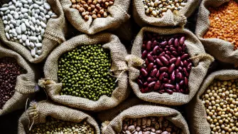 Various of legumes
