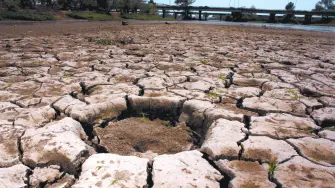 Texto alternativo automático