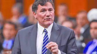 Texto alternativo automático