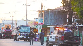 Texto alternativo automático