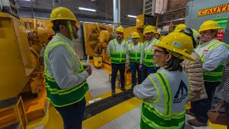 Foto: Comisión Federal de Electricidad.