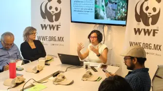 María José Villanueva, directora general de WWF México, hizo un recuento del trabajo de los primeros 30 años de la organización. foto ee: especial