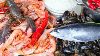 fresh uncooked marine products and  seasonings at cooking table in kitchen