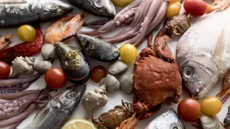 Pescados y mariscos