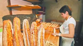 Texto alternativo automático