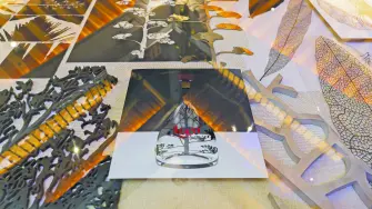 Texto alternativo automático