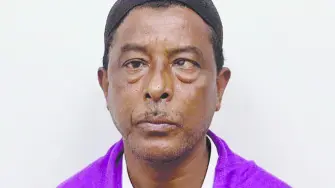 Texto alternativo automático