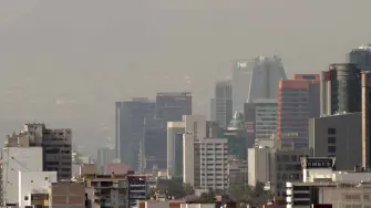 La CAMe informó que se mantiene la Fase I de contingencia ambiental en el Valle de México debido a la mala calidad del aire. Estas son las restricciones vehiculares y recomendaciones.

Para más información del tema, visita: https://www.eleconomista.com.mx/politica/mantienen-contingencia-ambiental-cdmx-edomex-autos-aplica-doble-hoy-circula-20260311-803743.html

¡Síguenos en nuestras redes sociales para mantenerte informado!

Twitter: https://twitter.com/eleconomista 
Facebook: https://www.facebook.com/ElEconomista.mx
Instagram: https://www.instagram.com/eleconomistamx
LinkedIn: https://www.linkedin.com/company/el-economista/

#ElEconomista #Contingencia