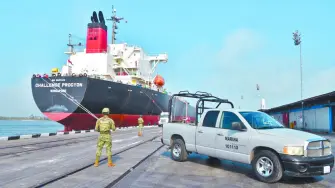 Texto alternativo automático