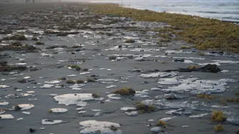 Un derrame de petróleo afecta a pescadores y comunidades costeras en Veracruz