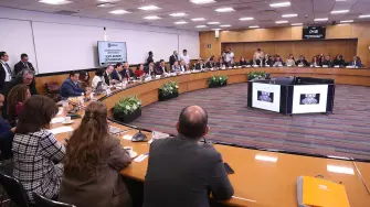 La Procuradora Fiscal de la Federación, Grisel Galeano, se dirigió ante legisladores de la Comisión de Hacienda y Crédito Público.