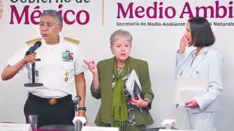 Texto alternativo automático