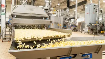 Pepsico informó que con su nueva planta de Sabritas se contribuye al desarrollo industrial del Bajío.