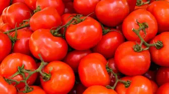 Al 20 de marzo de 2026, su precio promedio nacional se ubicó en 41.09 pesos por kilo, con picos de hasta 49.95 pesos en cadenas comerciales.

Para más información del tema, visita: https://www.eleconomista.com.mx/bistronomie/jitomate-sigue-caro-saladet-mantiene-40-pesos-presiona-canasta-basica-20260330-806543.html 

Twitter: https://twitter.com/eleconomista 
Sitio web: https://www.eleconomista.com.mx/ 
Facebook: https://www.facebook.com/ElEconomista.mx 
Instagram: https://www.instagram.com/eleconomistamx

#ElEconomista #EETV #Bistronomie