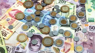 El gasto de los hogares en México se concentra principalmente en alimentos, transporte y vivienda. Estas categorías absorben la mayor parte del ingreso familiar, reflejando las prioridades básicas de consumo.

¡Síguenos en nuestras redes sociales para mantenerte informado!