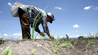 El paro nacional convocado para este 6 de abril pone de manifiesto una crisis estructural que el país ha postergado por años, donde problemas como la inseguridad en carreteras, la extorsión y los altos costos de producción han alcanzado un punto de ruptura.