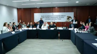 La minuta aprobada en comisiones del Senado conserva varios de los puntos centrales que el Ejecutivo planteó desde febrero, entre los que están una cuota mínima de 10% de tiempo de pantalla para obras cinematográficas nacionales.