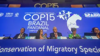 Convención sobre la Conservación de las Especies Migratorias de Animales Silvestres (COP15).