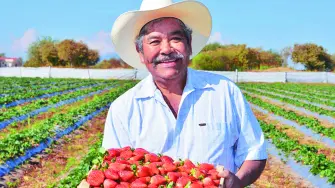La región ha sido clave para el desarrollo del programa debido a su vocación agrícola.