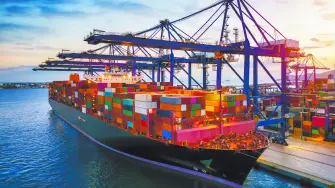 Texto alternativo automático