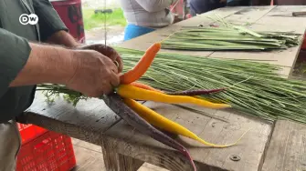 El aumento del precio del gas natural, clave para la producción de fertilizantes, y la interrupción del transporte en el estrecho de Ormuz, canal principal de estos insumos, pone en jaque la agricultura de México.

¡Síguenos en nuestras redes sociales para mantenerte informado! 

Twitter: https://twitter.com/eleconomista 
Sitio web: https://www.eleconomista.com.mx/ 
Facebook: https://www.facebook.com/ElEconomista.mx 
Instagram: https://www.instagram.com/eleconomistamx 

#ElEconomista #EETV