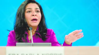 Texto alternativo automático