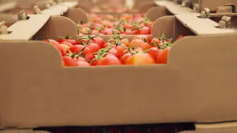 Sheinbaum afirma que la inflación se mantiene en 4.6% y anuncia medidas para frenar alzas en tortilla y jitomate ante presión en alimentos.