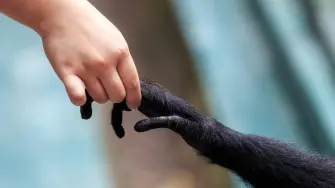 Foto: Dennis van de Water /