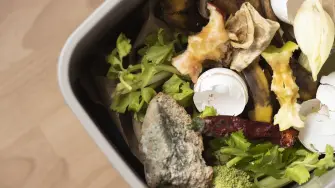 desperdicio de alimentos