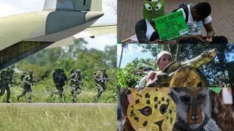 Especies en riesgo en Colombia.