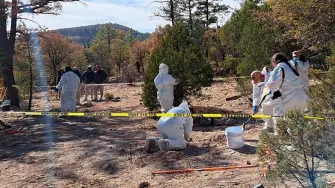 Para Amnistía Internacional, México sigue siendo uno de los países con los índices más altos de tortura y malos tratos. 

Para más información del tema, visita: 
https://www.eleconomista.com.mx/politica/amnistia-internacional-reporta-desapariciones-mexico-incrementaron-10-5-20260421-809743.html 

¡Síguenos en nuestras redes sociales para mantenerte informado! 

Twitter: https://twitter.com/eleconomista 
Facebook: https://www.facebook.com/ElEconomista.mx 
Instagram: https://www.instagram.com/eleconomistamx 
LinkedIn: https://www.linkedin.com/company/el-economista/ 

#ElEconomista #EETV #Mercados