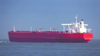 Texto alternativo automático