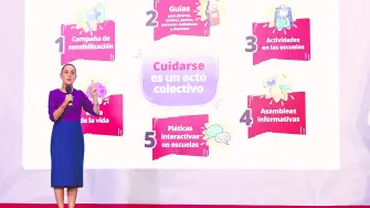 Texto alternativo automático