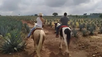Foto: Cortesía