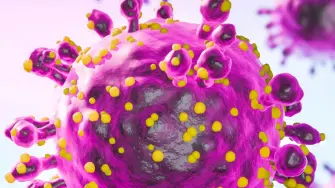 El hantavirus se trata de un virus peligroso, pero únicamente para la persona realmente infectada.

Para más información del tema, visita: https://www.eleconomista.com.mx/internacionales/hantavirus-riesgo-brote-poblacion-absolutamente-insiste-oms-20260510-812769.html

¡Síguenos en nuestras redes sociales para mantenerte informado!

Twitter: https://twitter.com/eleconomista 
Facebook: https://www.facebook.com/ElEconomista.mx
Instagram: https://www.instagram.com/eleconomistamx
LinkedIn: https://www.linkedin.com/company/el-economista/

#ElEconomista #Hantavirus #OMS