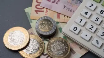 A partir del pago anual de impuestos las empresas tienen 60 días para cumplir con el pago de PTU, de acuerdo con la Ley Federal del Trabajo. 

¡Síguenos en nuestras redes sociales para mantenerte informado!