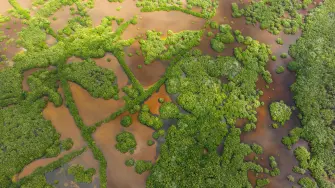 Areas naturales de Yucatán.