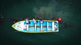 "Áreas de Prosperidad Marina".